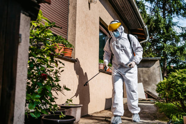 Best Flea Control Services  in Carthage, TN