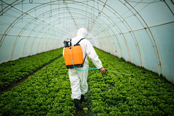 Best Emergency Pest Control  in Carthage, TN