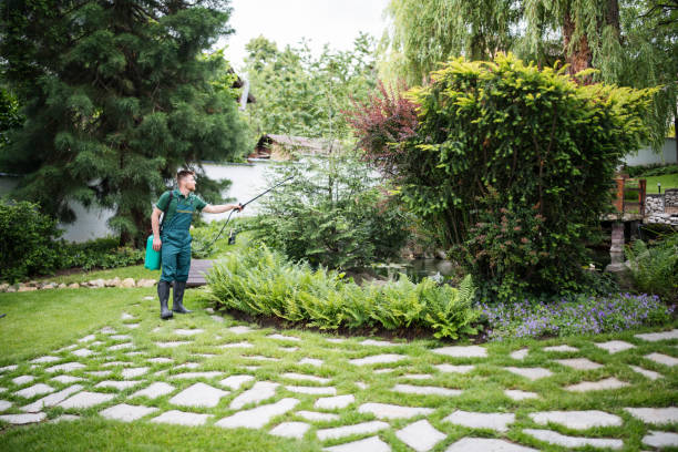 Best Ant Control Services  in Carthage, TN