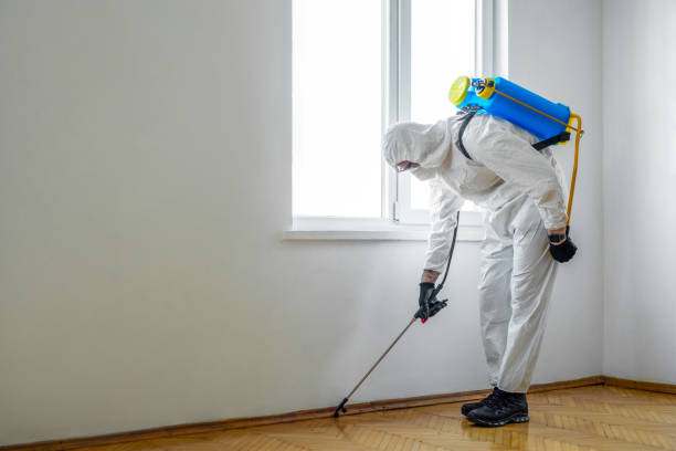 Reliable Carthage, TN Pest Control Solutions