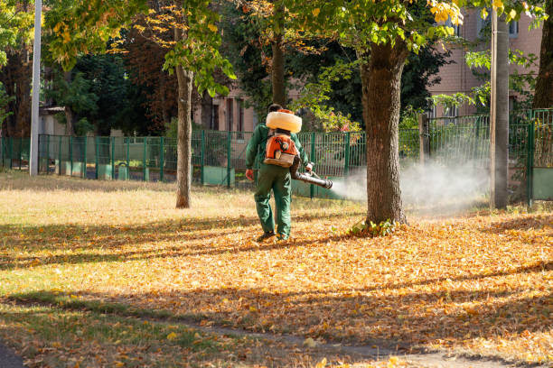 Best Residential Pest Control  in Carthage, TN