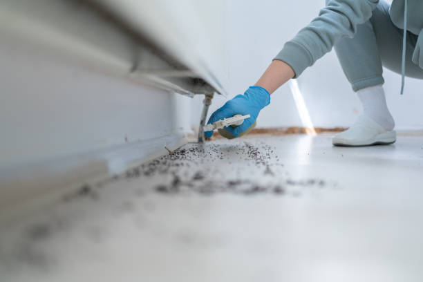 Best Insect Control  in Carthage, TN